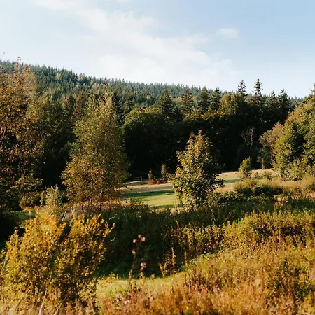 Muchovice Ostravice