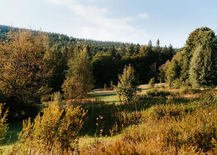 Muchovice Ostravice